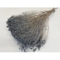 BROOM BLOOM GREY +/-100GR BOPP/kraft Small packaging