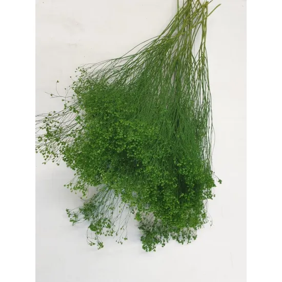 BROOM BLOOM MOSGROEN +/-100GR BOPP/kraft