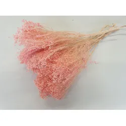 BROOM BLOOM PINK +/-100GR BOPP/kraft Small packaging