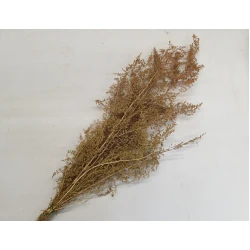 BRIZONNE NATURAL +/-50GR BOPP/kraft Small packaging