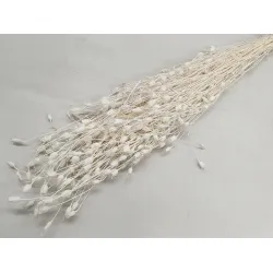 CENTAUREA BLEACHED +/-200GR BOPP/kraft Small packaging