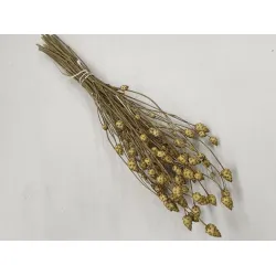 CENTAUREA SOLSTITIALIS NATURAL BOPP/kraft Small packaging