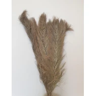 DATE WIDDLE NATURAL 20PCS BOPP/kraft Small packaging