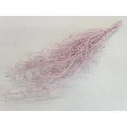 GYPSOPHILA WILD LIGHT PINK BOPP/kraft Small packaging