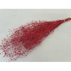 GYPSOPHILA WILD RED BOPP/kraft Small packaging