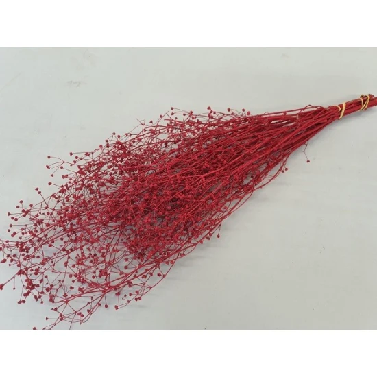 GYPSOPHILA WILD ROUGE BOPP/kraft