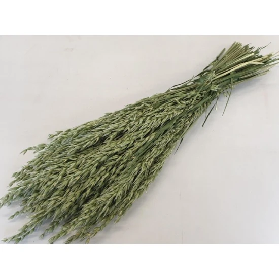 AVOINE NATUREL BOPP/kraft