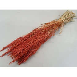 AVOINE ORANGE BOPP/kraft emballage hobby