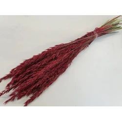 AVOINE ROUGE BOPP/kraft emballage hobby