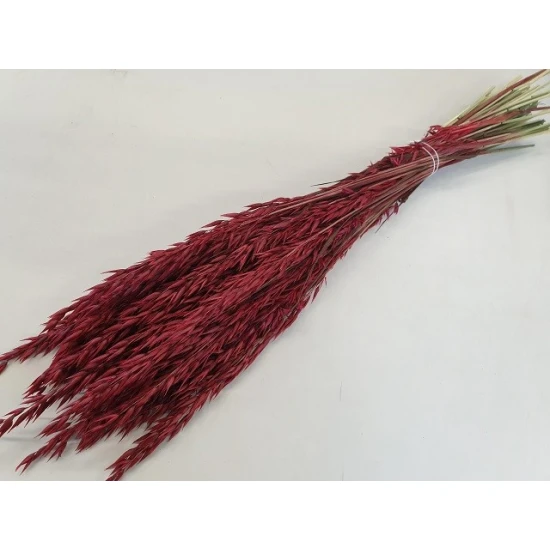 AVOINE ROUGE BOPP/kraft