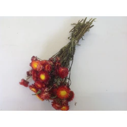 HELICHRYSUM RED BOPP/kraft Small packaging