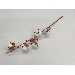 COTTON BRANCHE NATURAL 1PC BOPP/kraft Small packaging