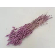 LAGURUS OVATUS RASPBERRY +/-100GR BOPP/kraft Small packaging