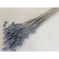 LAGURUS OVATUS GREY +/-50GR BOPP/kraft Small packaging