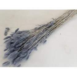 LAGURUS OVATUS GREY +/-50GR BOPP/kraft Small packaging