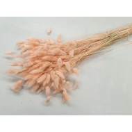 LAGURUS OVATUS MELOEN +/-50GR BOPP/kraft hobbyverpakking