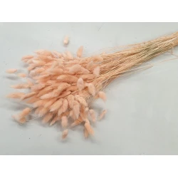 LAGURUS OVATUS MELON +/-50GR BOPP/kraft Small packaging