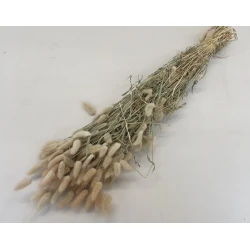 LAGURUS OVATUS NATURAL +/-50GR BOPP/kraft Small packaging