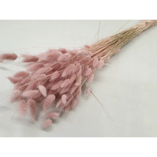 LAGURUS OVATUS POEDERROOS +/-50GR BOPP/kraft