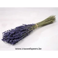 LAVENDE 1/2 BOPP/kraft emballage hobby