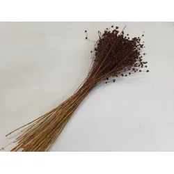 LINUM (FLAX) BROWN +/-100GR BOPP/kraft Small packaging