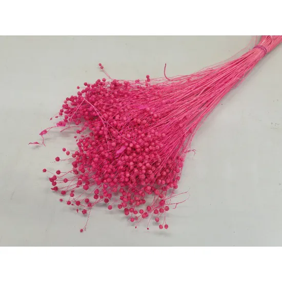LIN FUCHSIA +/-100GR BOPP/kraft