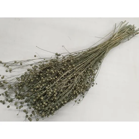 LIN ICE GREEN +/-100GR BOPP/kraft