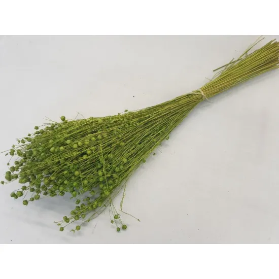 LINUM (VLAS) LIME GREEN +/-100GR BOPP/kraft