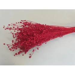 LINUM (FLAX) RED +/-100GR BOPP/kraft Small packaging