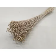 LINUM (VLAS) WHITE WASH +/-100GR BOPP/kraft hobbyverpakking