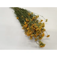 LONA NATUREL BOPP/kraft emballage hobby