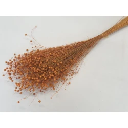 LINUM (FLAX) ORANGE (APRICOT) +/-100GR BOPP/kraft Small packaging
