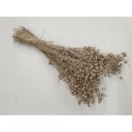 LINUM (VLAS) PLATINA +/-100GR BOPP/kraft hobbyverpakking