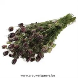 NIGELLA RED NATURAL BOPP/kraft Small packaging