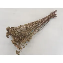 ORIGANUM NATURAL BOPP/kraft Small packaging