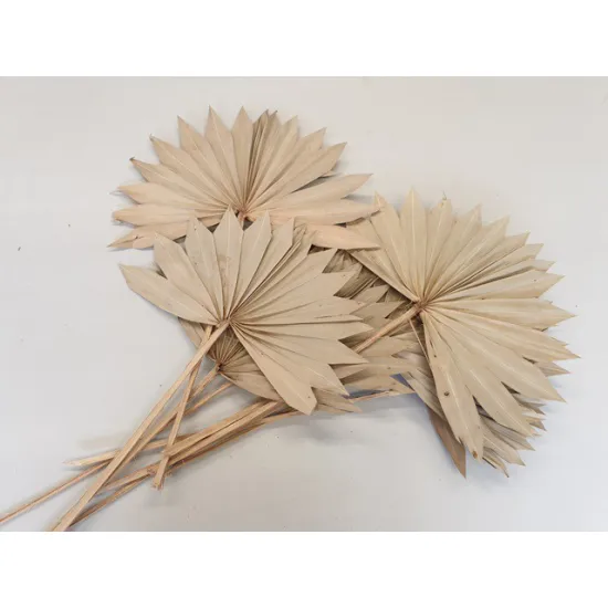 PALM SUN NATUREL 10PCS BOPP/kraft