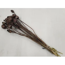 POPPY DARK BROWN BOPP/kraft Small packaging