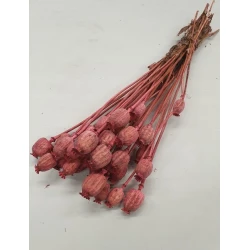 POPPY (DARK) PINK BOPP/kraft Small packaging