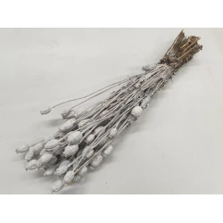 POPPY FROSTED WHITE BOPP/kraft Small packaging