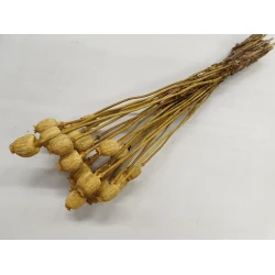 POPPY YELLOW BOPP/kraft Small packaging