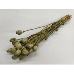 POPPY GREEN BOPP/kraft Small packaging