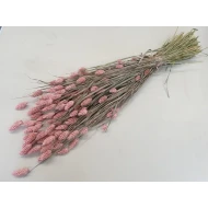 PHALARIS FROSTED PINK BOPP/kraft Small packaging