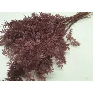 RUSCUS FRAMBOISE +/-200GR BOPP/kraft emballage hobby