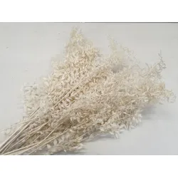 RUSCUS BLEACHED +/-200GR BOPP/kraft Small packaging