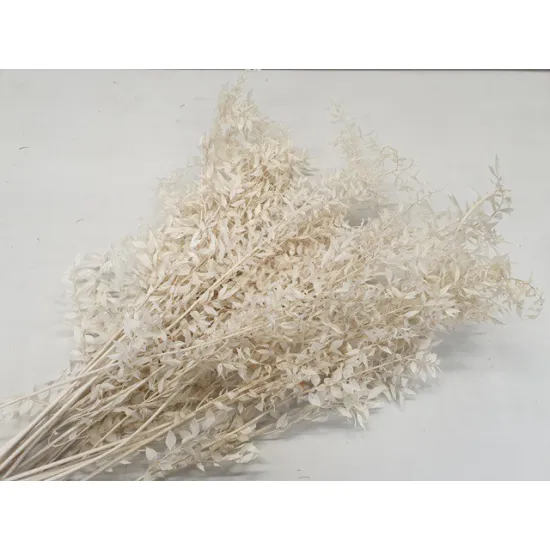 RUSCUS BLEACHED +/-200GR BOPP/kraft