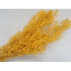 RUSCUS YELLOW +/-200GR BOPP/kraft Small packaging