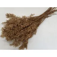 RUSCUS SAHARA +/-200GR BOPP/kraft hobbyverpakking