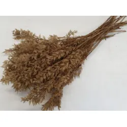 RUSCUS SAHARA +/-200GR BOPP/kraft Small packaging