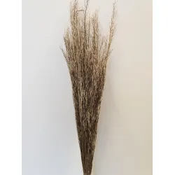 SARASH BUNCH NATURAL +/-110CM +/-100GR BOPP/kraft Small packaging