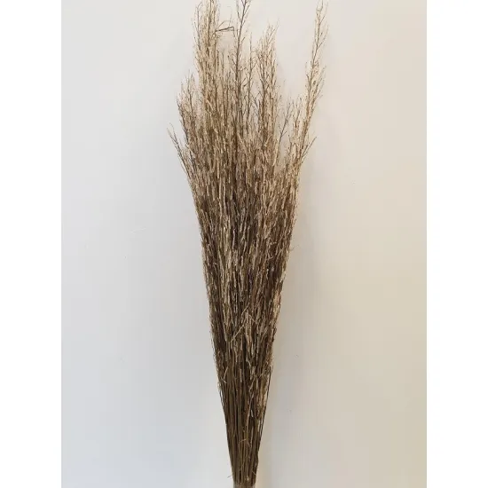 SARASH BUNCH NATUREL +/-110CM +/-100GR BOPP/kraft